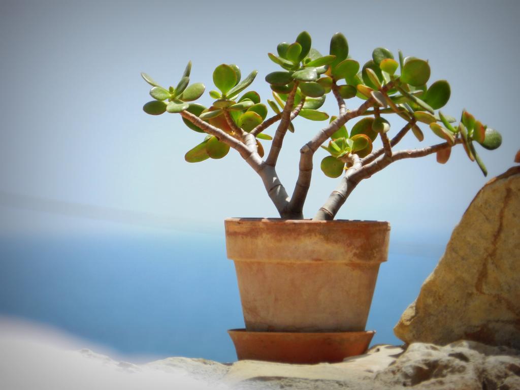 Lido di Noto Appartamento Don Nino מראה חיצוני תמונה